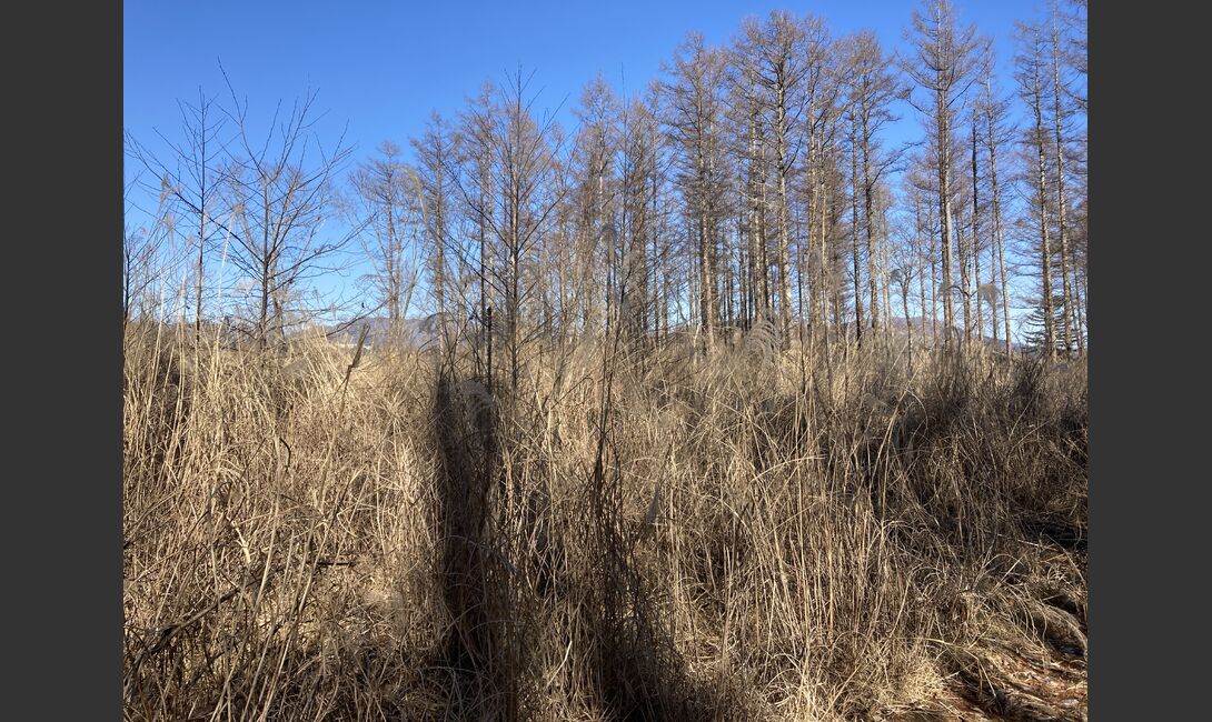 IMG_0292