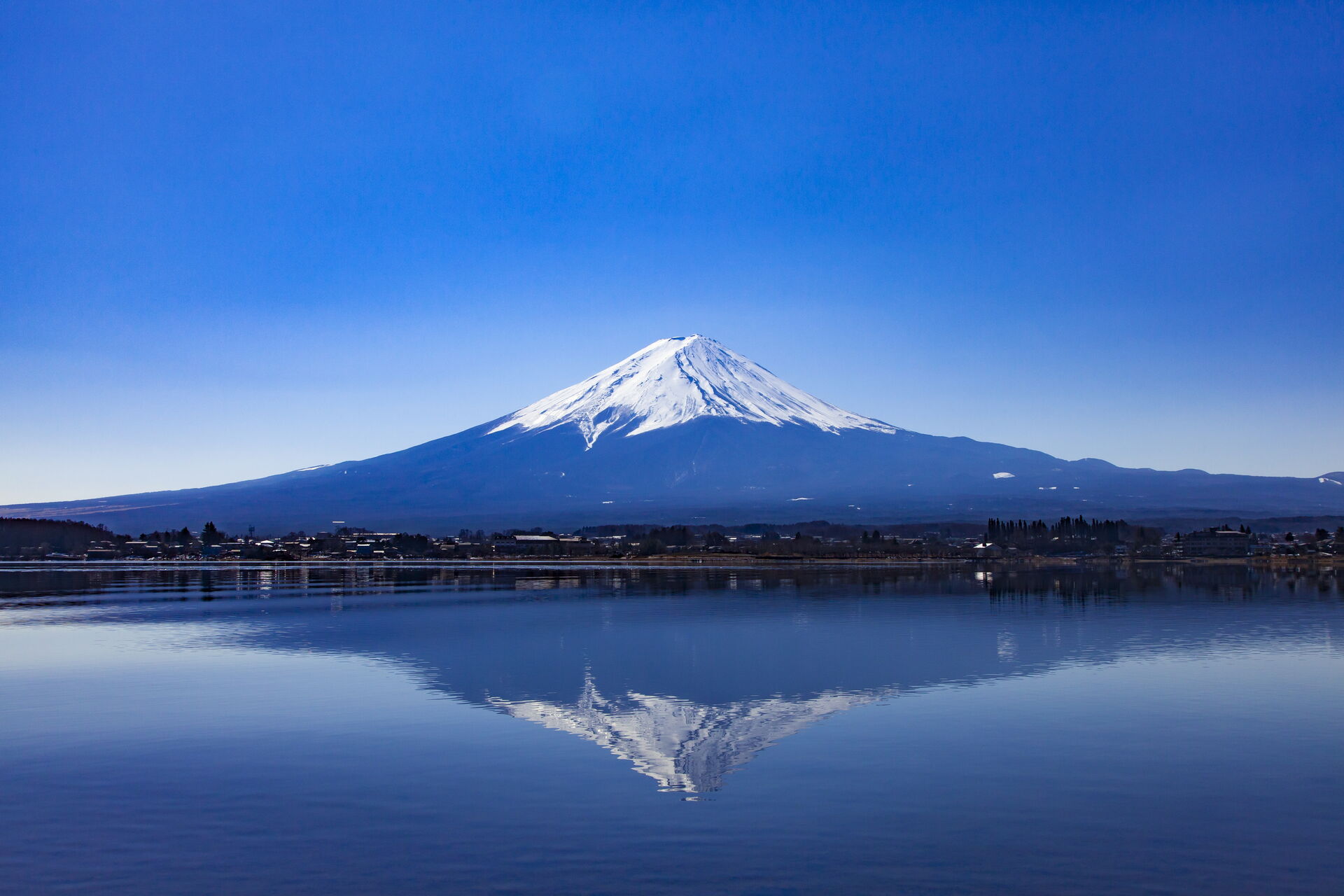 AdobeStock_181439115