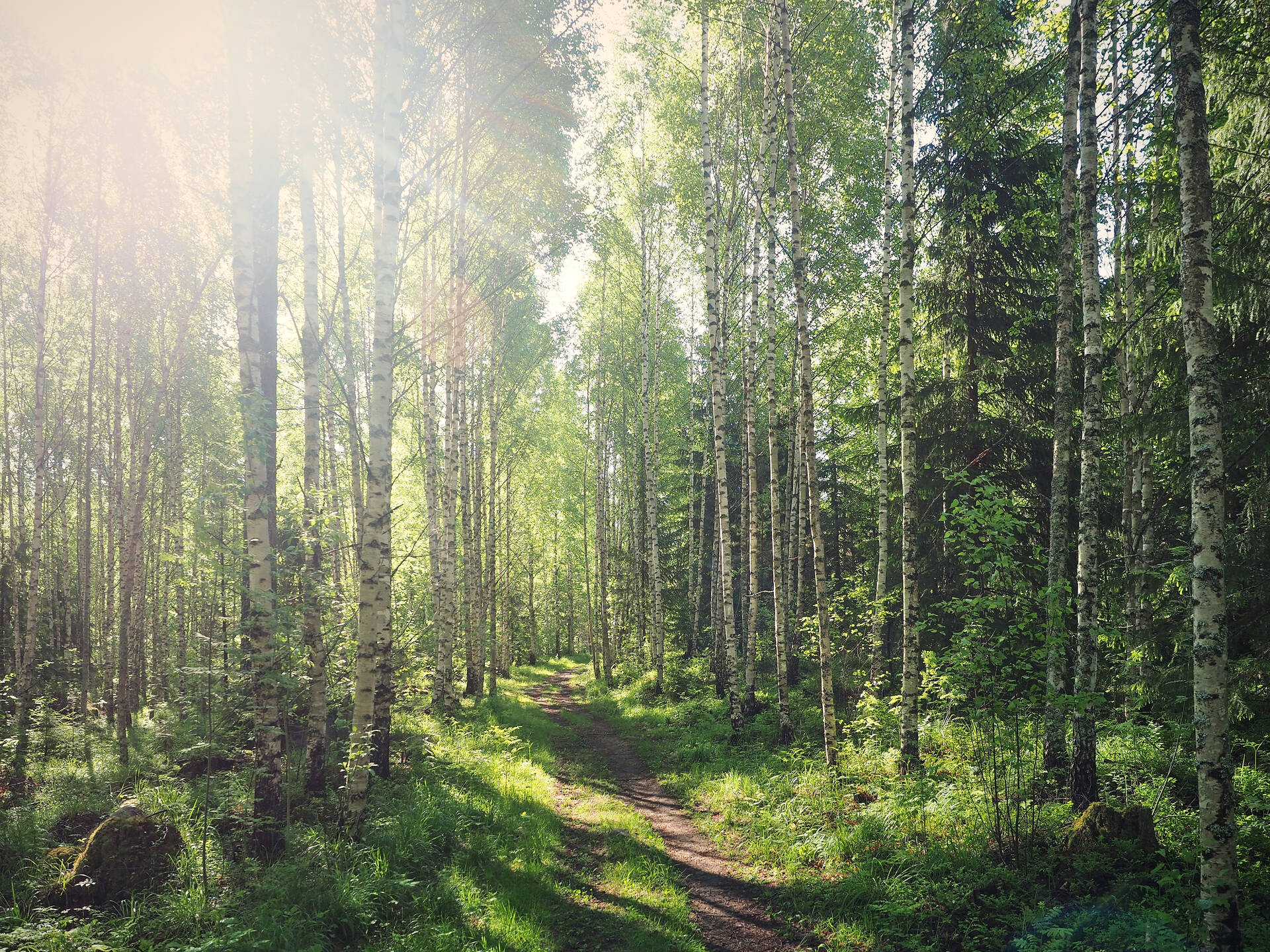 AdobeStock_246202983